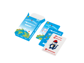 Karty-wizualiz-1-555x416